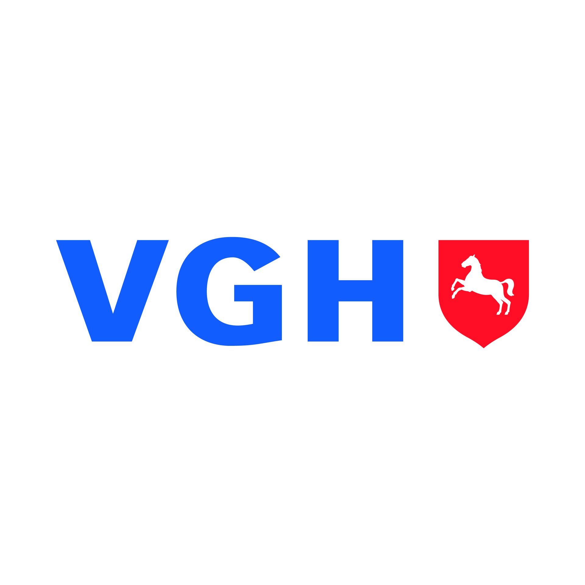 VGH Weihnachts-Shop 2026